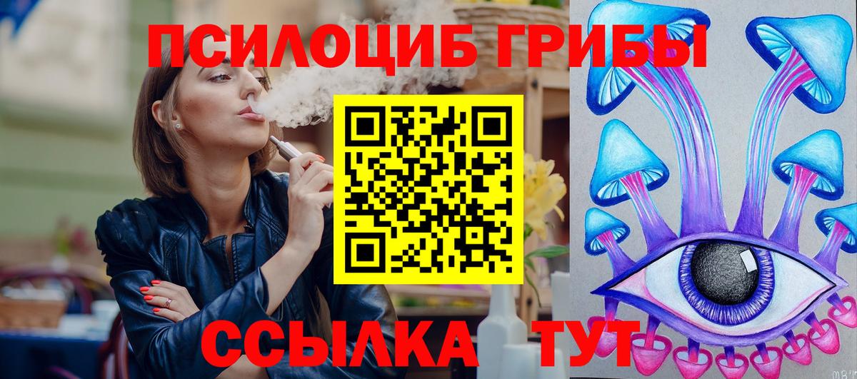 Псилоцибиновые грибы мицелий  Вход с VPN  где продают   Кизляр  Псилоцибиновые грибы Cubensis 
