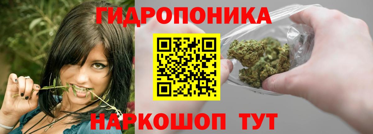 Бошки Шишки семена Кизляр